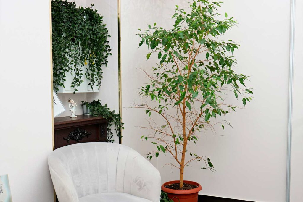 Уходовые процедуры по лицу в Екатеринбурге